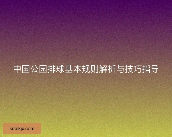 中国公园排球基本规则解析与技巧指导